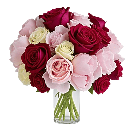 Radiant Rose Symphony