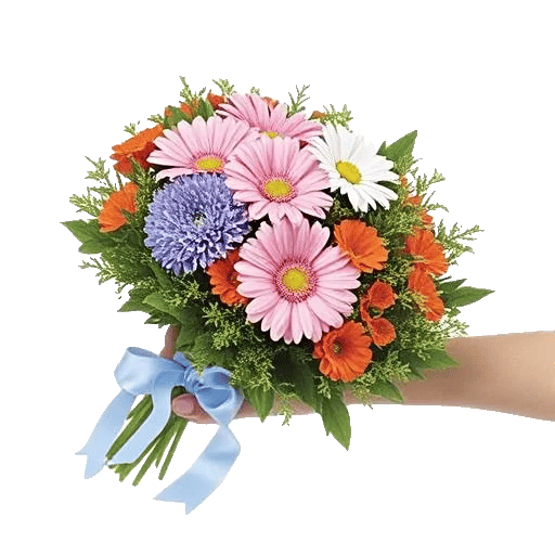 Coral Blossom Harmony