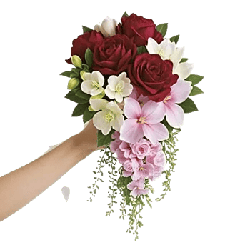 Delicate Petal Cascade
