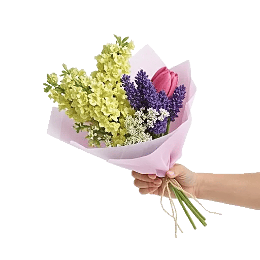 Blossom Harmony Display