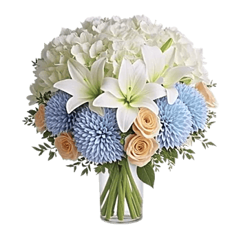 Ivory Blossom Radiance