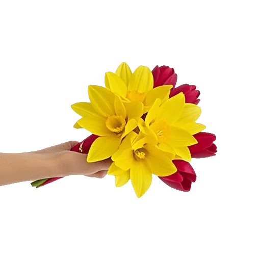 Blossom Harmony Display