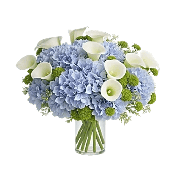 Sapphire Bloom Whisper