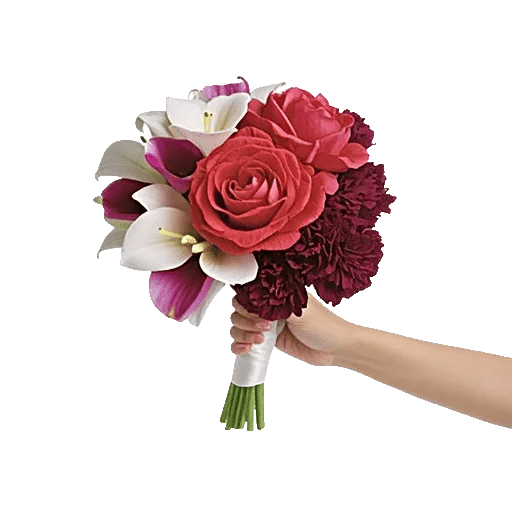 Peony Petal Harmony