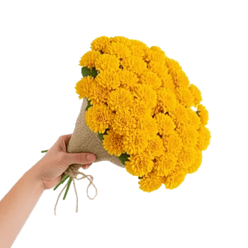 Golden Petal Harmony