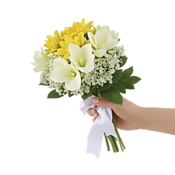 Blossom Harmony Display