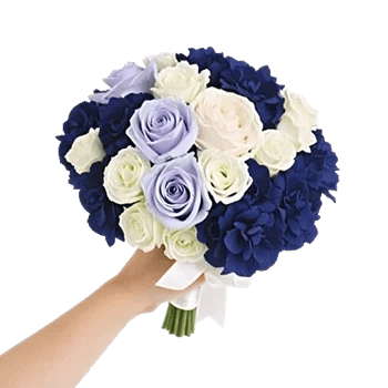 Serene Petal Harmony