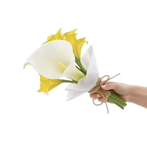Elegant Calla Lilies