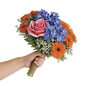 Blushing Rose Symphony