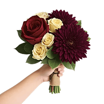 Crimson Rose Elegance