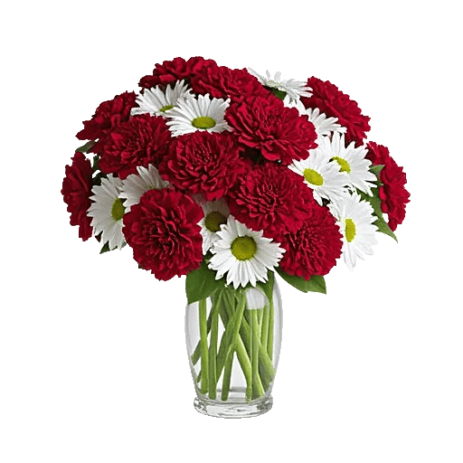 Crimson Blossom Harmony