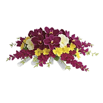 Orchid Bloom Cascade