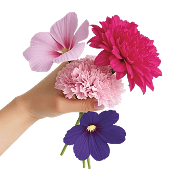 Petal Harmony Bliss