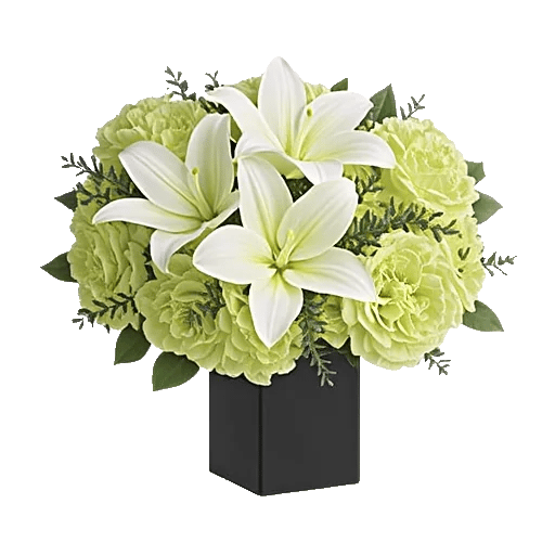 Ivory Blossom Radiance