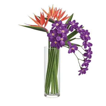 Orchid Bloom Cascade