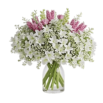 Ivory Blossom Radiance