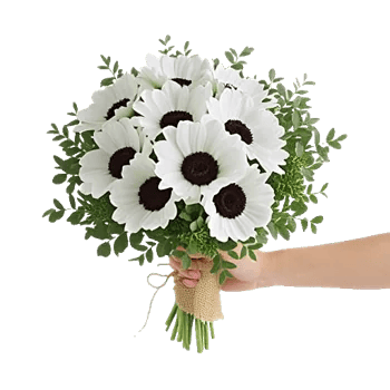 Modern White Orchids