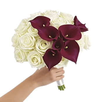 Elegant Calla Lilies