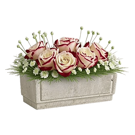 Delicate Petal Cascade