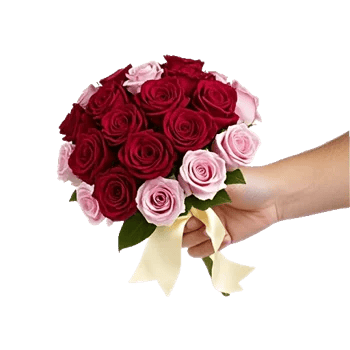 Crimson Rose Elegance