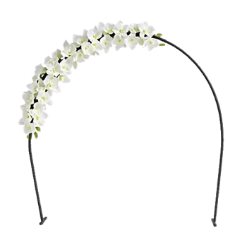 Modern White Orchids