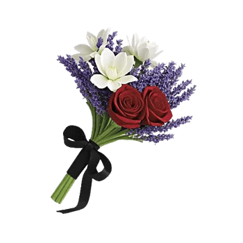 Modern White Orchids