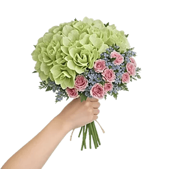 Serene Petal Harmony