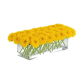 Radiant Bloom Cascade