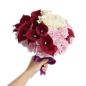 Elegant Calla Lilies