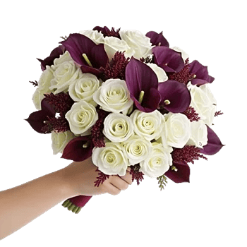 Elegant Calla Lilies