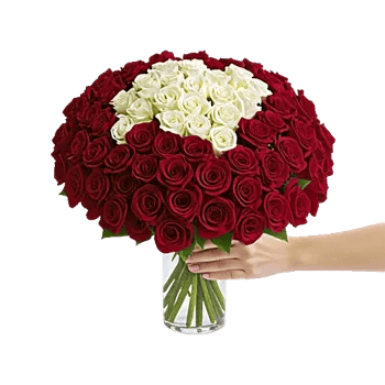 Crimson Rose Elegance