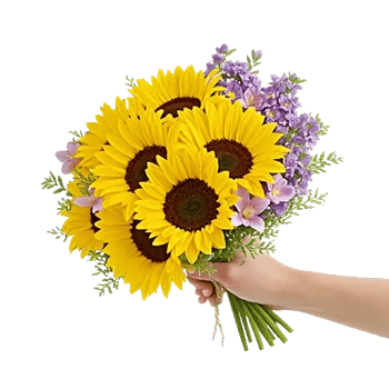Twinkling Sunflower Dance