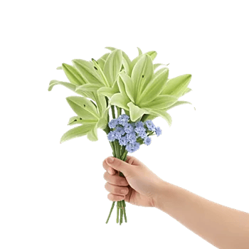 Graceful Lily Display