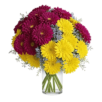 Radiant Bloom Cascade