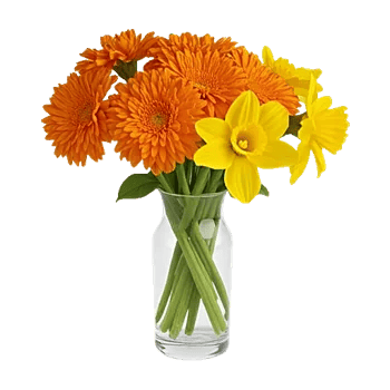 Vibrant Orange Delight