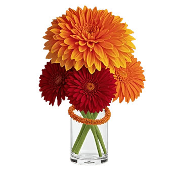 Radiant Bloom Cascade