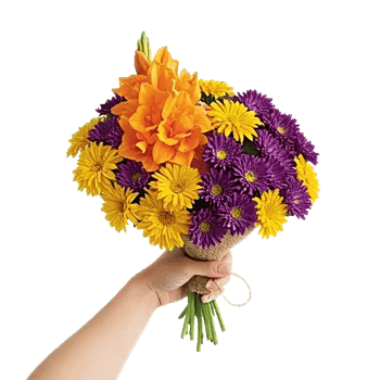 Vibrant Orange Delight