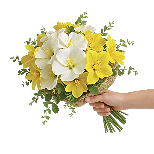 Ivory Garden Grace