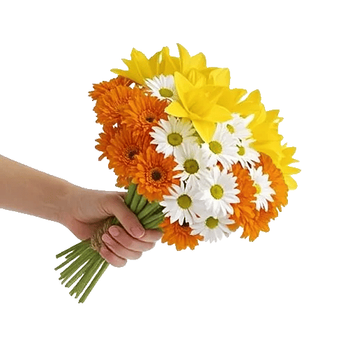 Blossom Harmony Display