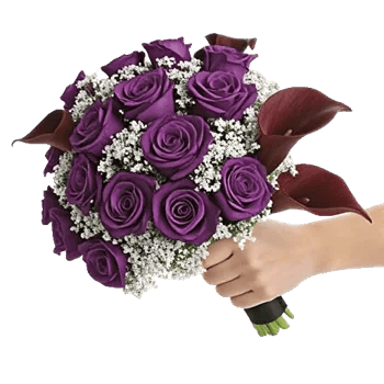 Elegant Calla Lilies