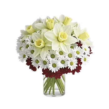 Ivory Blossom Radiance