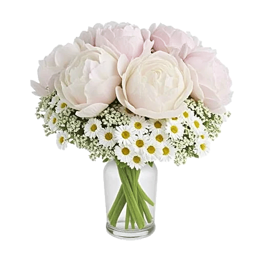 Petal Radiance Bliss