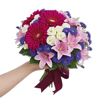 Silken Petal Array
