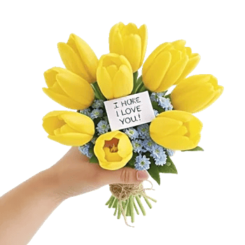 Tulip Rose Mix