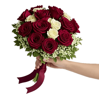 Crimson Rose Elegance