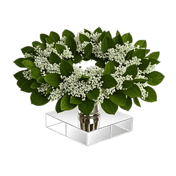 Emerald Leaf Harmony