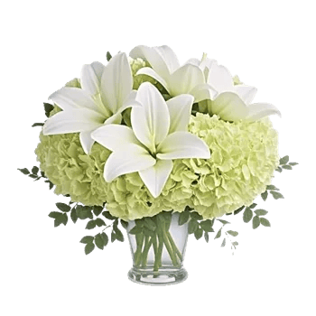 Graceful Lily Display