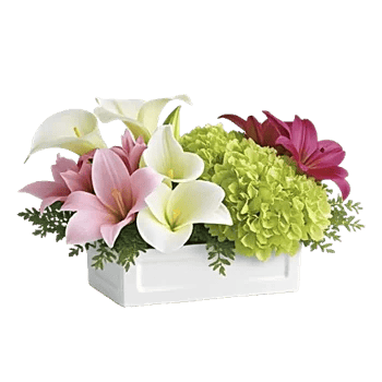 Graceful Lily Display