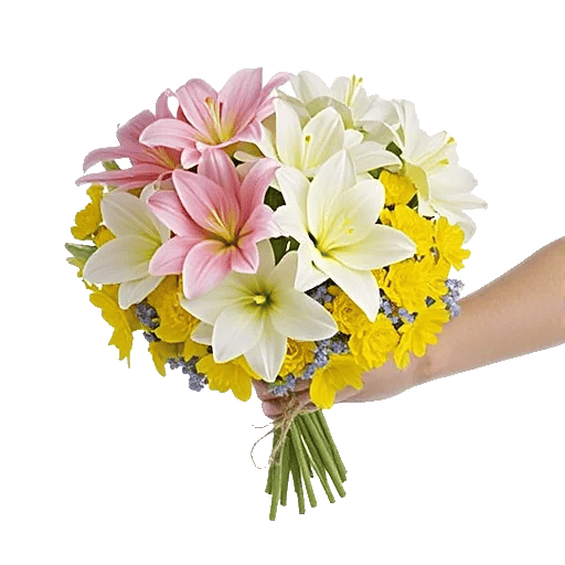 Blossom Harmony Display