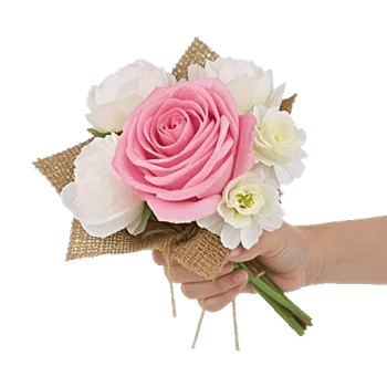 Peony Petal Harmony